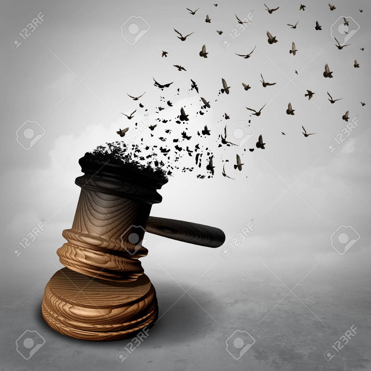 The Concept of the Pardon