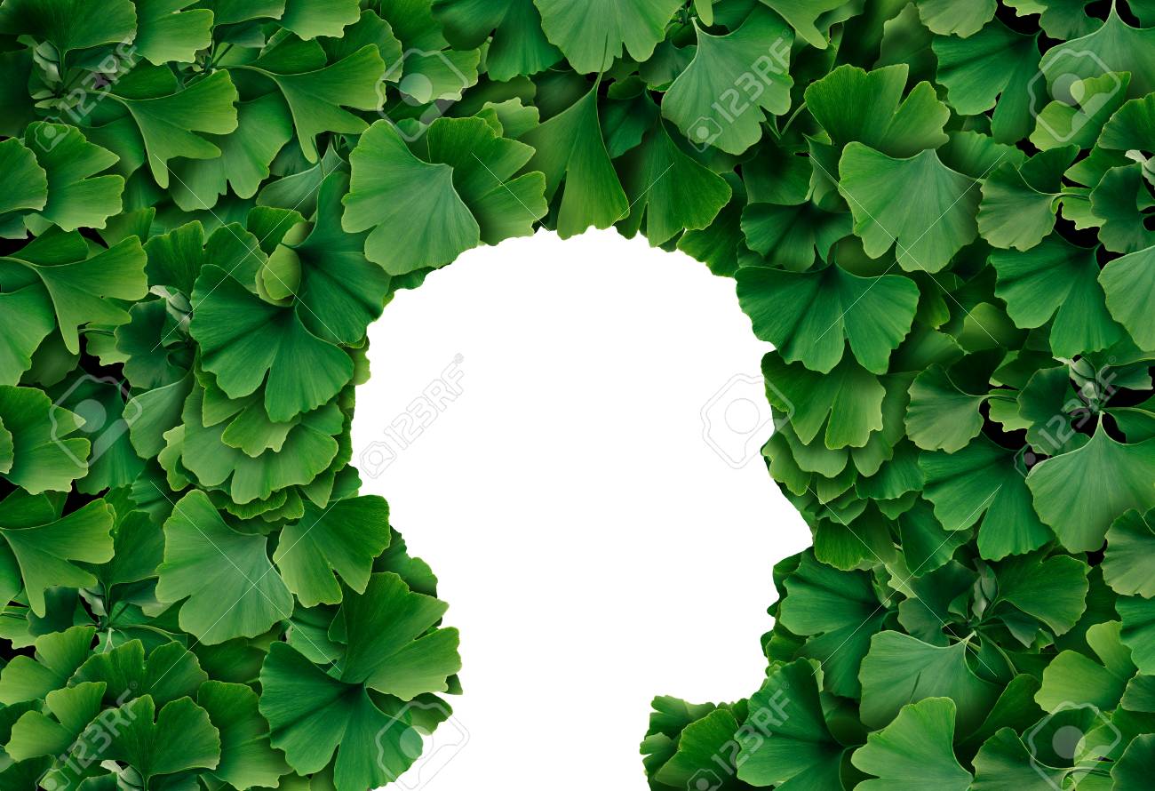 Ginkgo Biloba leaf Human head profile as a herbal medicine concept and natural phytotherapy medication symbol for healing. - 98616879 Ginkgo Biloba leaf Human head profile as a herbal medicine concept and natural phytotherapy medication symbol for healing. - 98616879