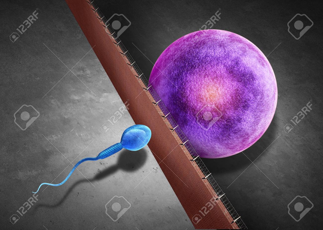Fertility Contraception And Birth Control And Infertility As Stock Photo Picture And Royalty Free Image Image 101762679