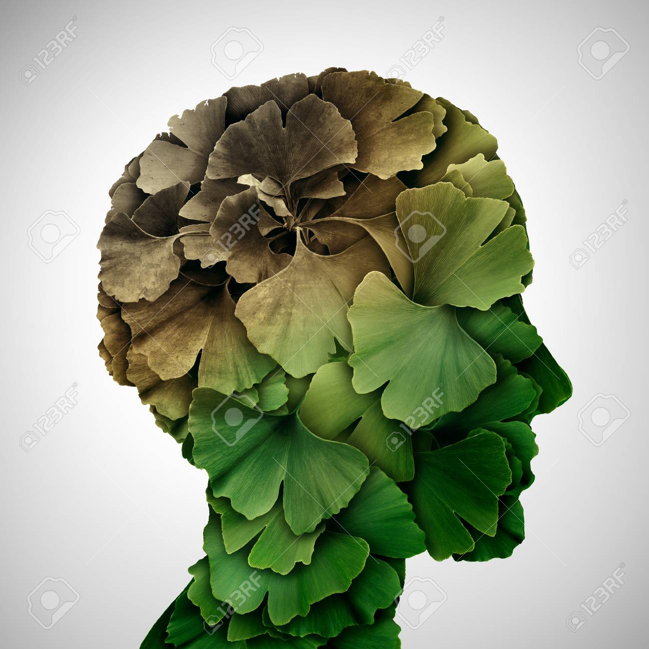 Concept Of Dementia And Memory Loss Or Brain Aging Due To Alzheimer S Stock Photo Picture And Royalty Free Image Image 107062944
