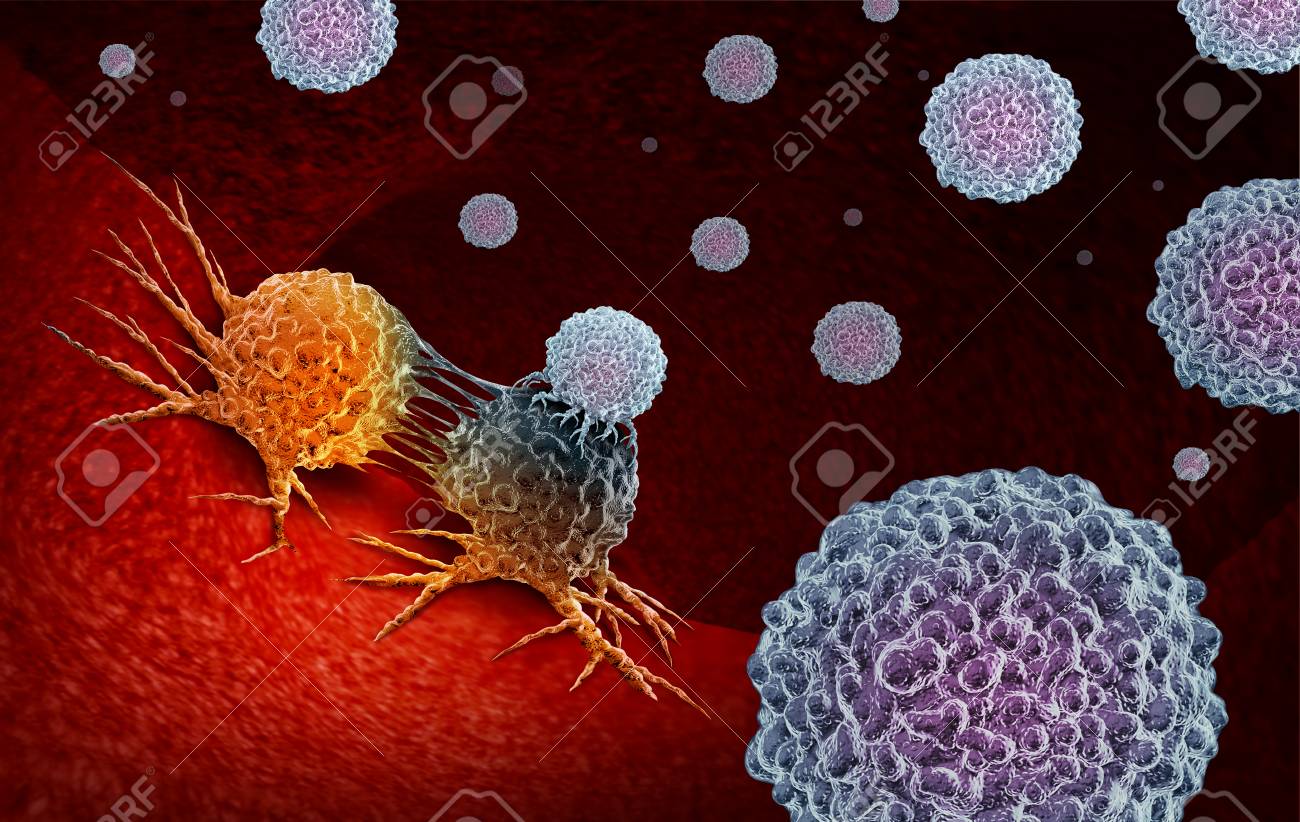 Cancer Immunotherapy as a human immune system therapy concept as a biomedical or biomedicine oncology treatment using the natural T cell fighting properties of the body as a 3D render. - 116775602 Cancer Immunotherapy as a human immune system therapy concept as a biomedical or biomedicine oncology treatment using the natural T cell fighting properties of the body as a 3D render. - 116775602