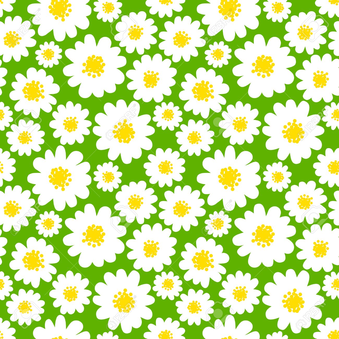 white daisies seamless pattern