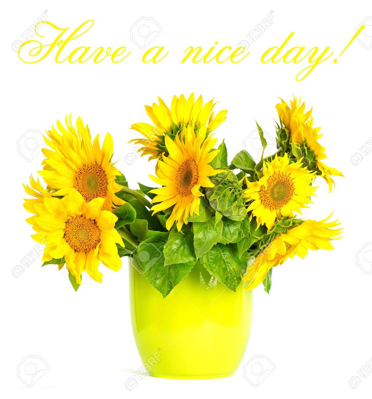 Beautiful Sunflower. Have A Nice Day! Card Concept Stock Photo ...