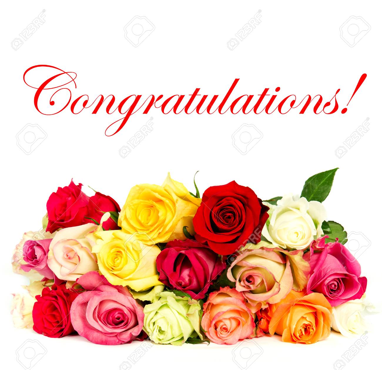 Colorful Roses, Beautiful Flower Bouquet On White Background With Sample Text Congratulations Stock Photo, Picture And Royalty Free Image. Image 30505682.