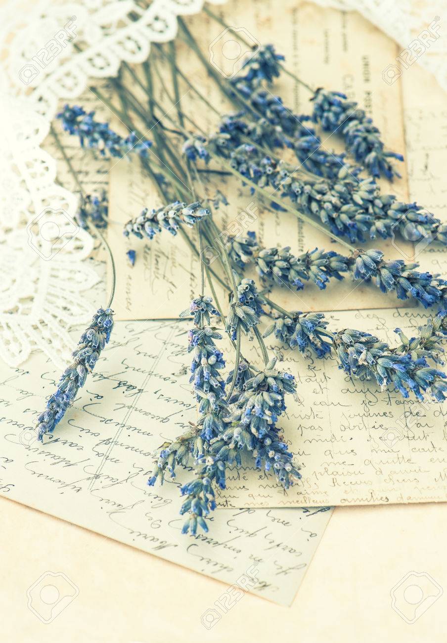 乾燥ラベンダーの花 レース 昔のラブレター 懐かしさ レトロなスタイルのトーンの画像 選択と集中 の写真素材 画像素材 Image