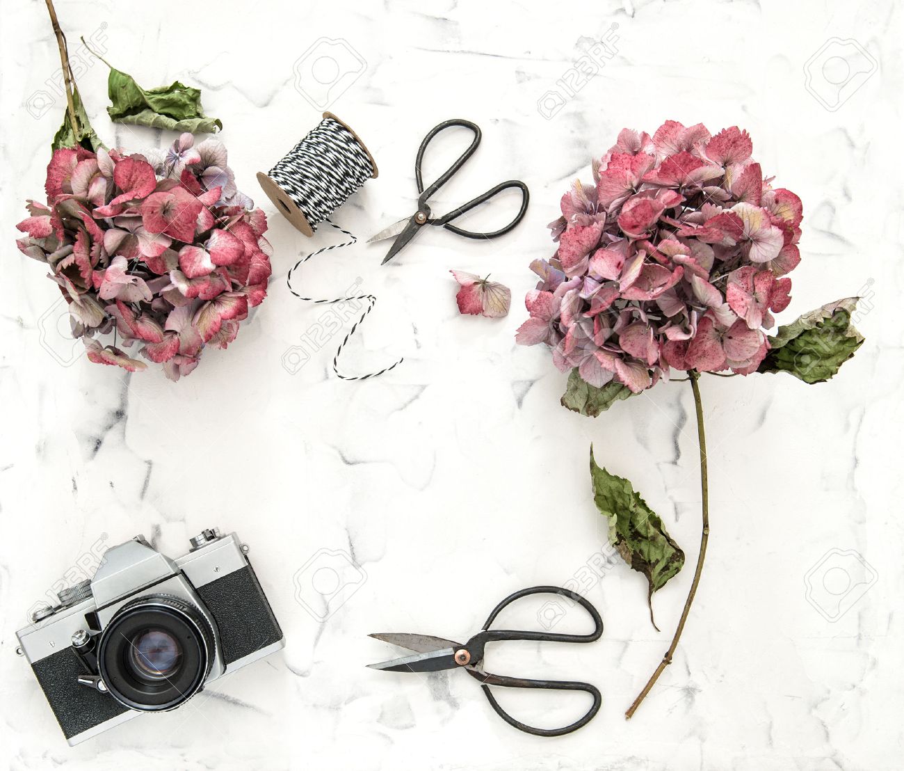 Flat Lay With Hortensia Flowers Vintage Scissors And Retro Photo Camera On White Marble Background Flat Lay With Hortensia Flowers Vintage Scissors And Retro Photo Camera On White Marble Background
