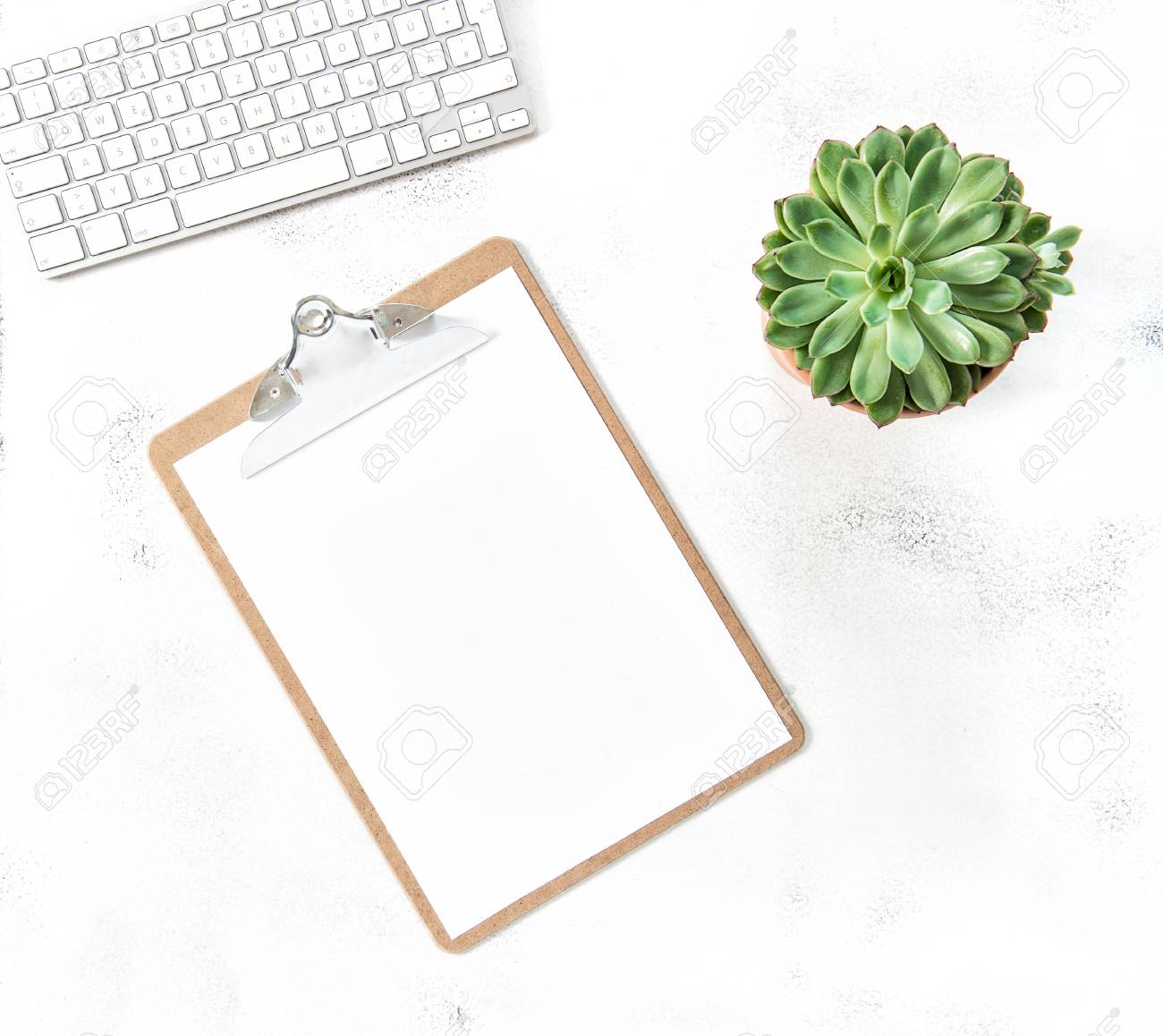Download Working Desk With Clipboard And Succulent Plant Flat Lay Mockup Stock Photo Picture And Royalty Free Image Image 101501048