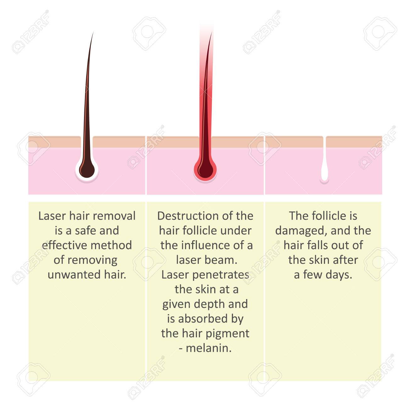 Threesomes with two wives on video