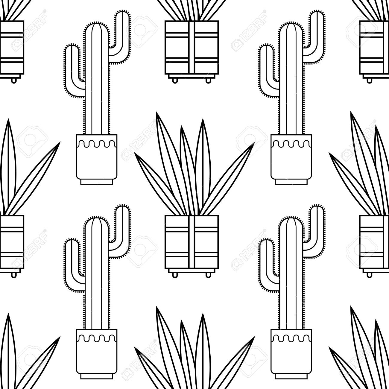 blanco y negro patrón transparente de cactus y suculentas para