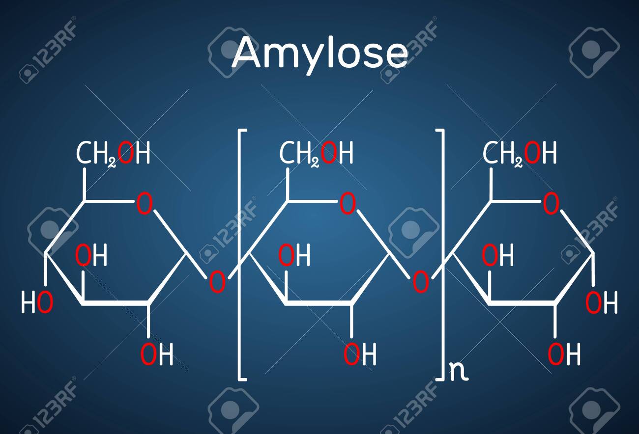 Perspectives on Starch Structure, Function, and Synthesis in Relation to  the Backbone Model of Amylopectin | Biomacromolecules, image size:1300x884