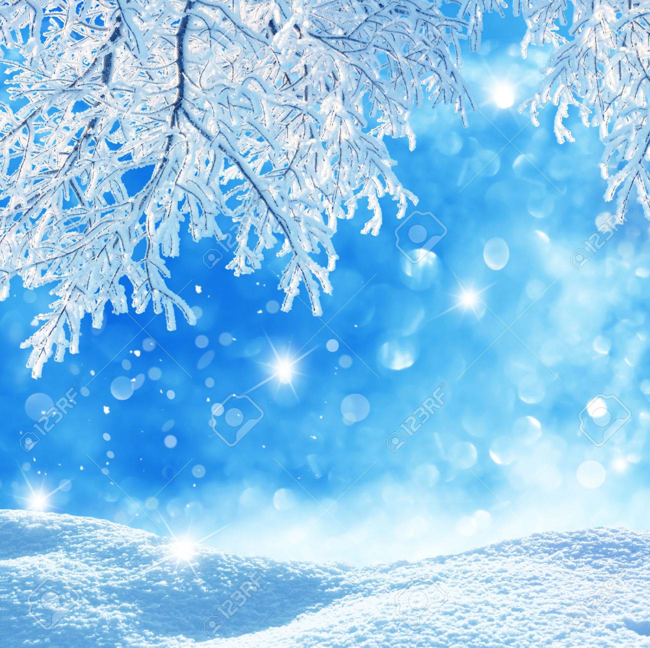 Winter Background Stock Photo Picture And Royalty Free Image Image Winter Background Stock Photo Picture And Royalty Free Image Image