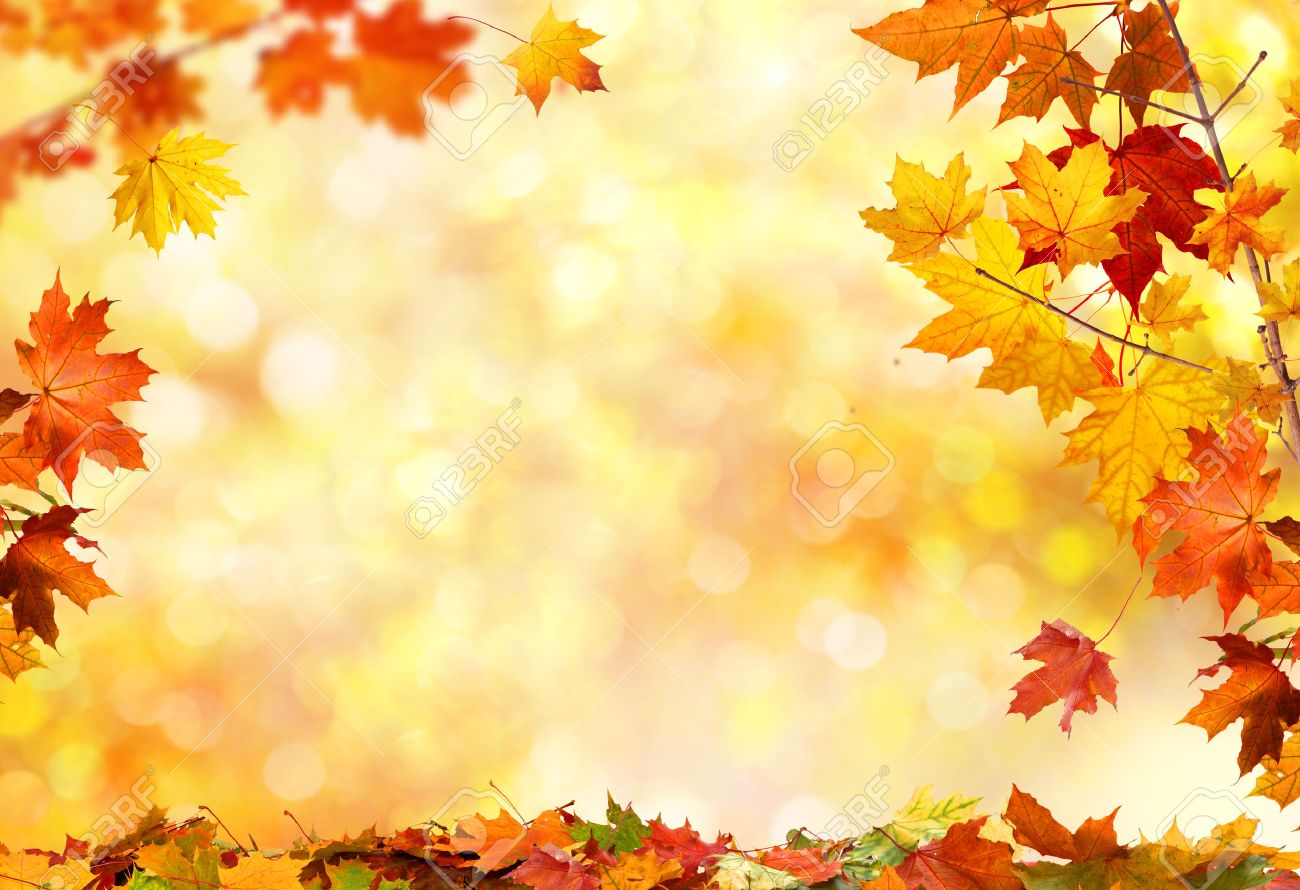 autumn background with maple leaves stock photo picture and royalty