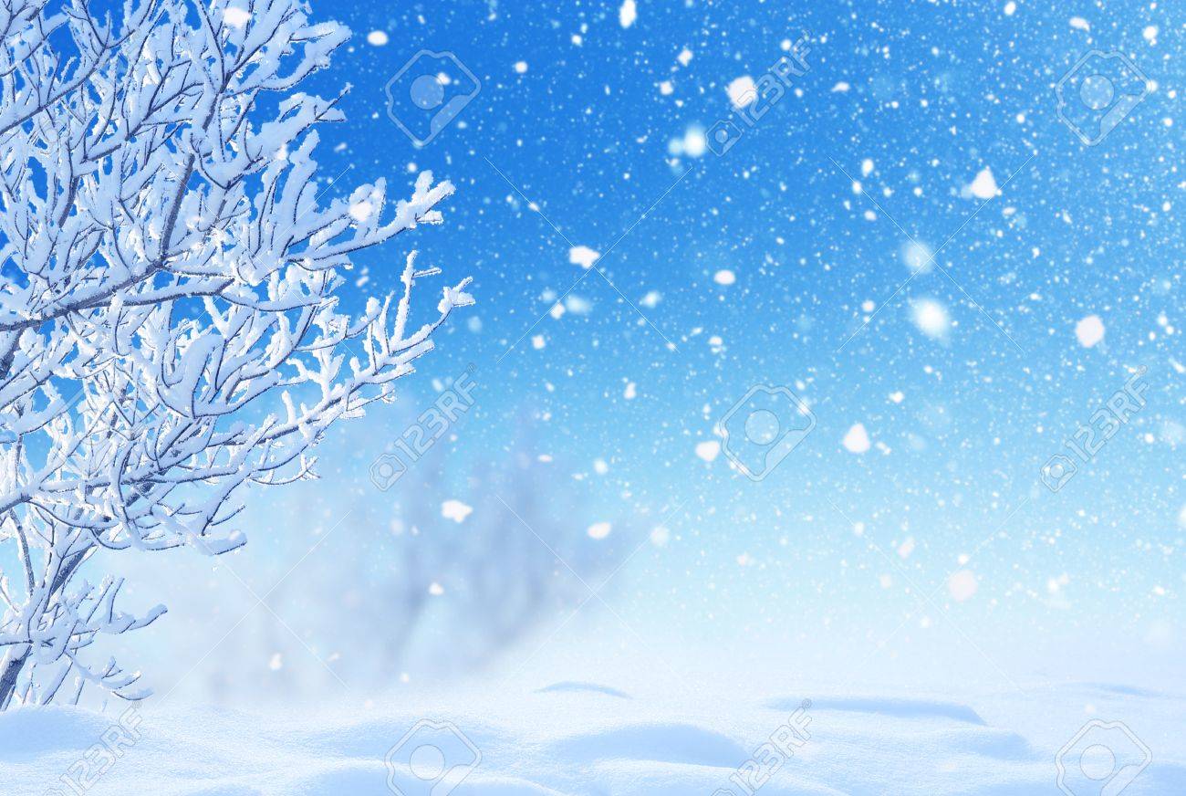 Hiver Noel Paysage Banque D Images Et Photos Libres De Droits Image