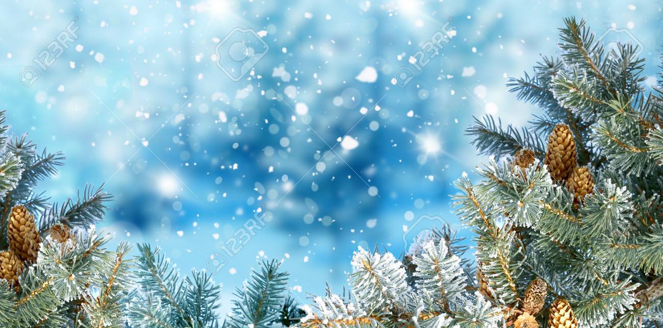 モミの木の枝メリー クリスマスと幸せな新年グリーティング カード コピー スペース冬クリスマス背景 クリスマスの背景 雪とモミの木のある冬景色 の写真素材 画像素材 Image