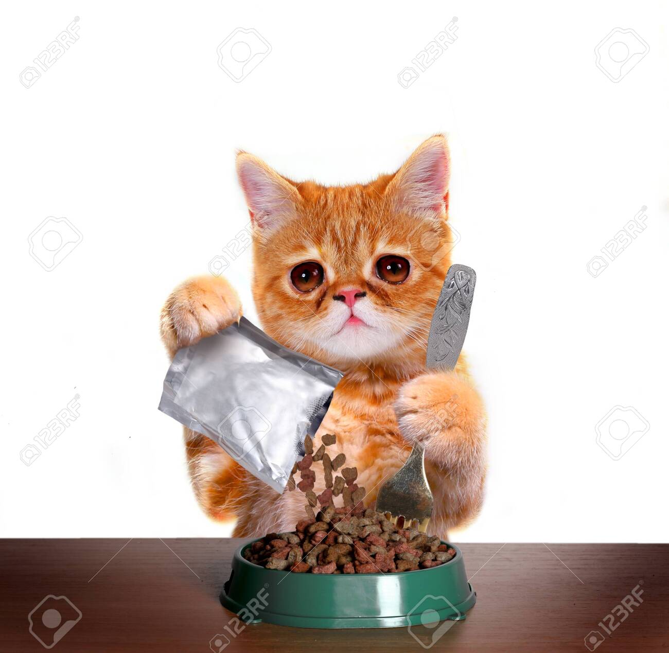 Funny kitten eating dry cat food from bowl. Exotic shorthair red cat isolated on white background
Cute cat is sitting at the table and eats with plates - 141030518 Funny kitten eating dry cat food from bowl. Exotic shorthair red cat isolated on white background
Cute cat is sitting at the table and eats with plates - 141030518