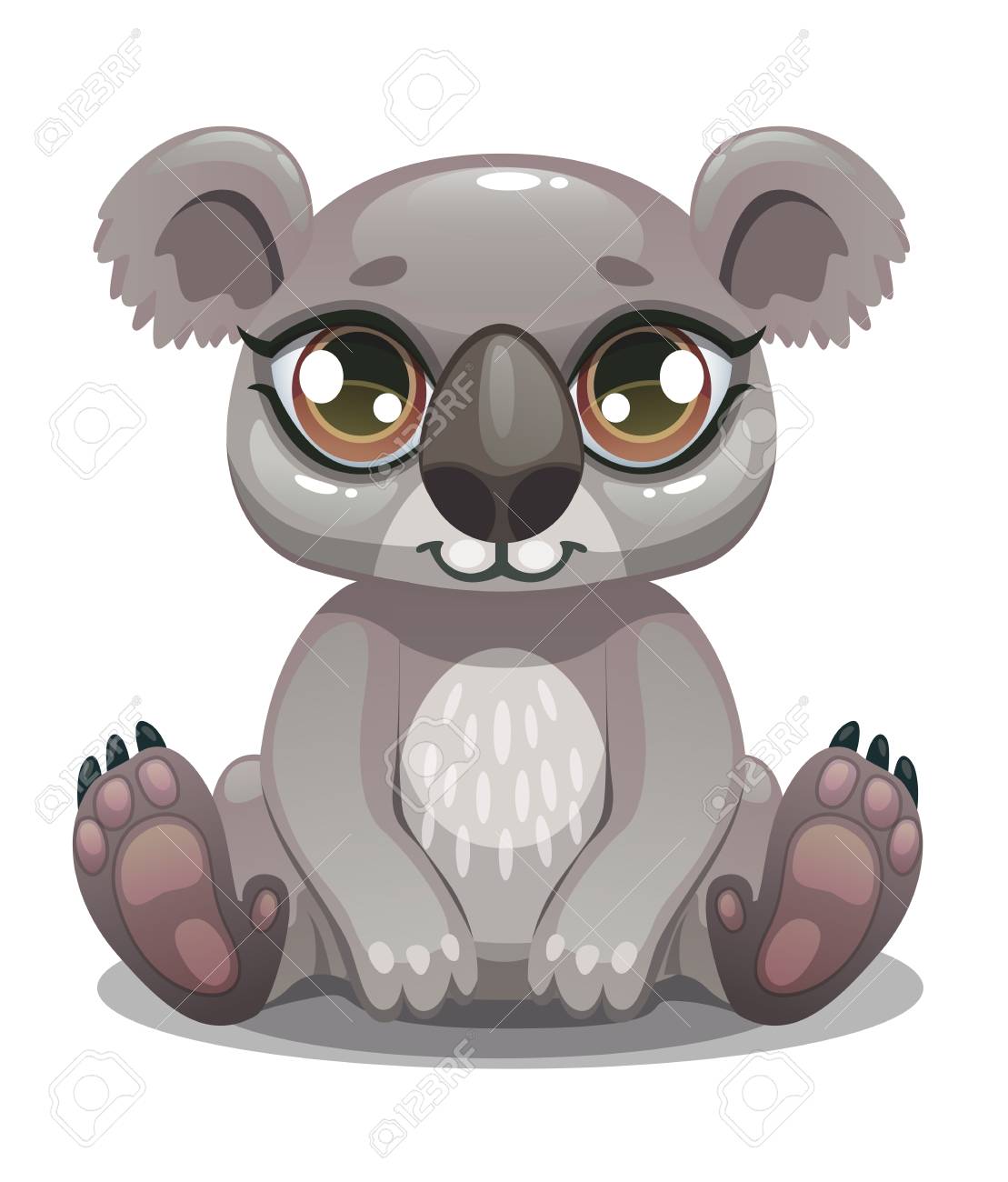 koala is the australian teddy bear