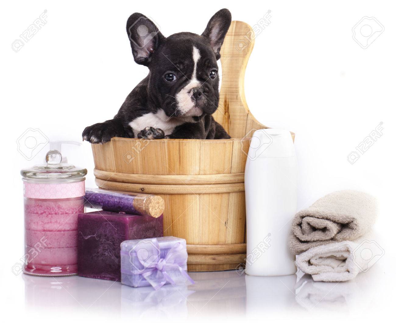 puppy bath soap