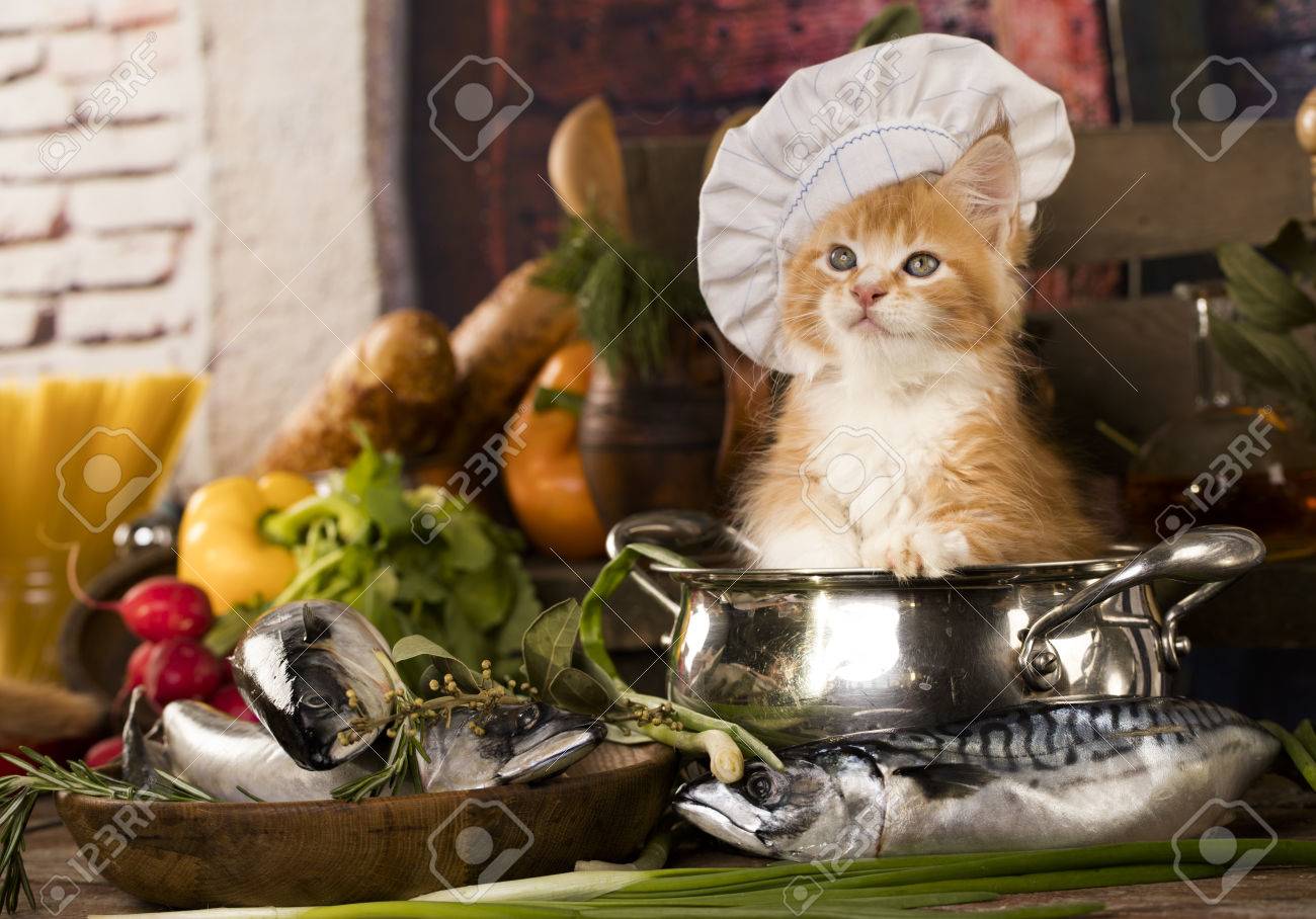 cooked cat