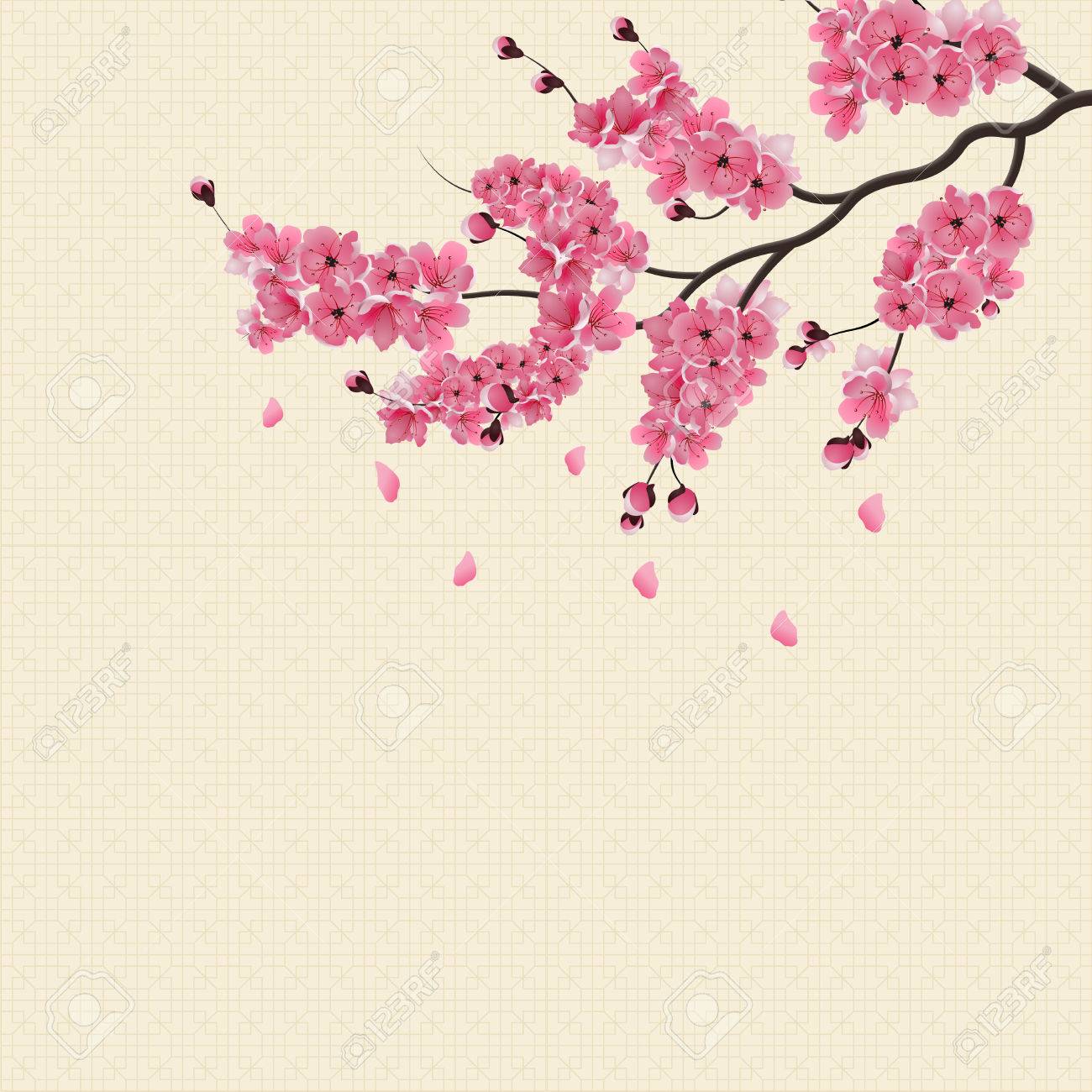 Sakura Japonais Fleur De Cerisier Rose Foncé De Branche Luxuriante Sur Le Fond De La Texture Du Papier De Riz Illustration Vectorielle