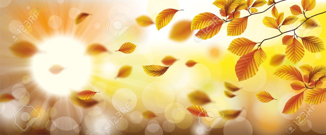 autumn header