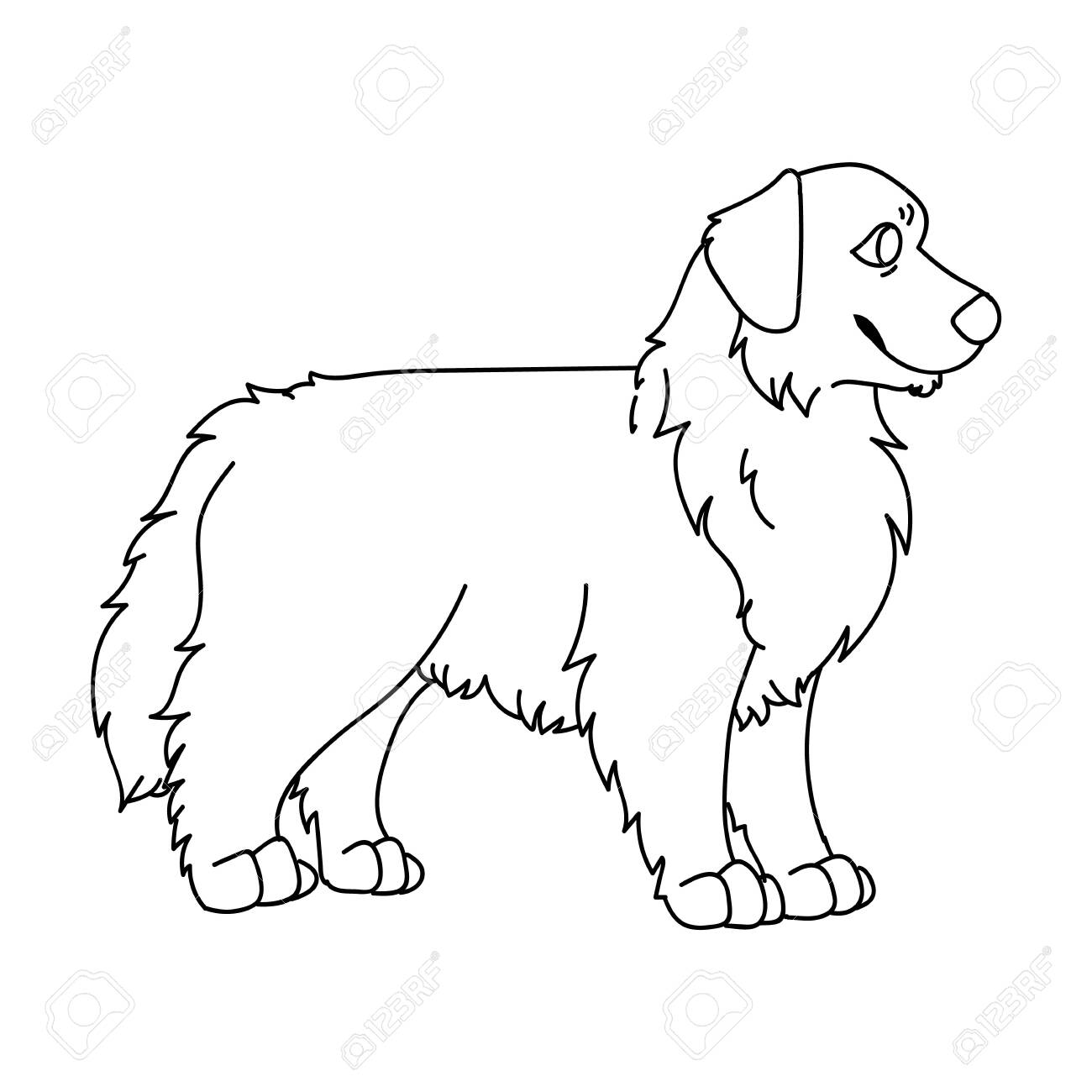 Cute Cartoon Monochrome Lineart Australian Shepherd Dog Vector Clipart.  Pedigree Kennel Doggie Breed For Dog Lovers. Purebred Domestic Puppy For  Pet Parlor Illustration Mascot. Isolated. Royalty Free SVG, Cliparts,  Vectors, and Stock, image size:1300x1300