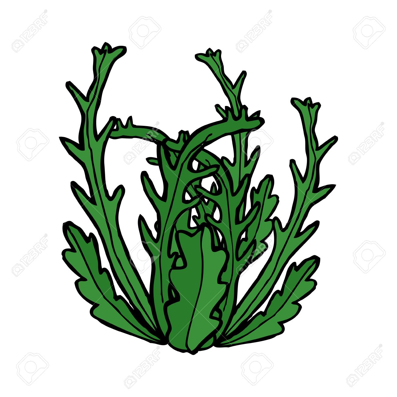 Image result for seaweed