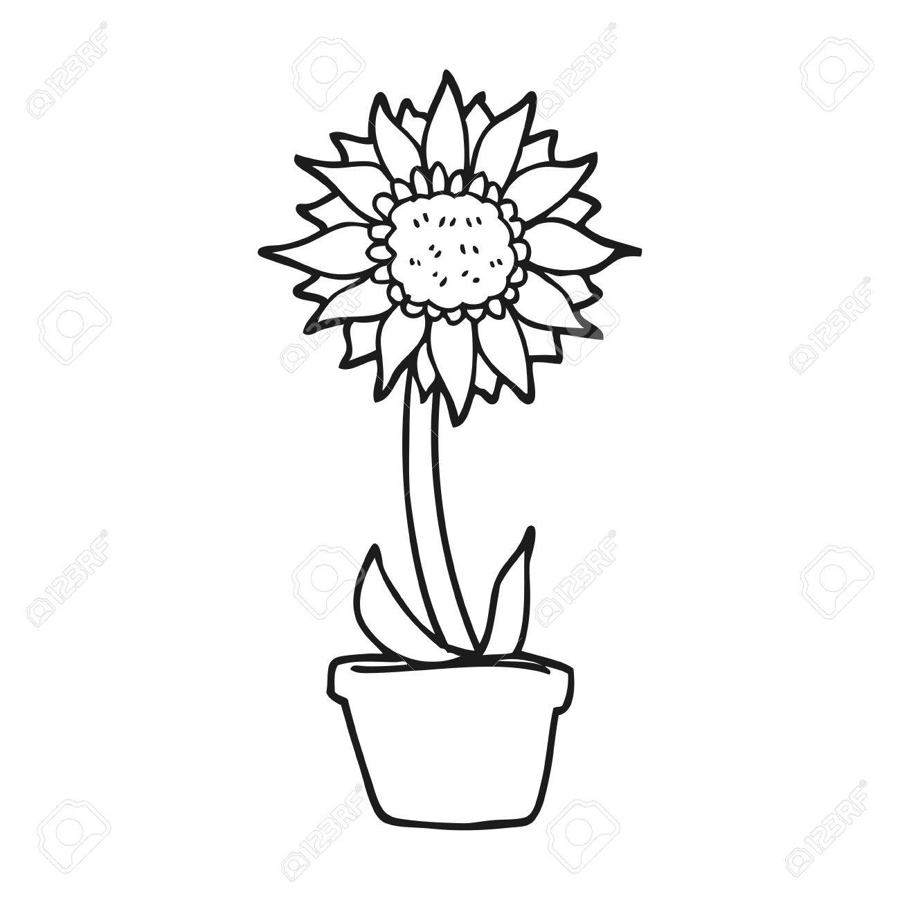 Freihandig Gezeichnet Schwarz Und Weiss Cartoon Sonnenblume Lizenzfrei Nutzbare Vektorgrafiken Clip Arts Illustrationen Image 53192697