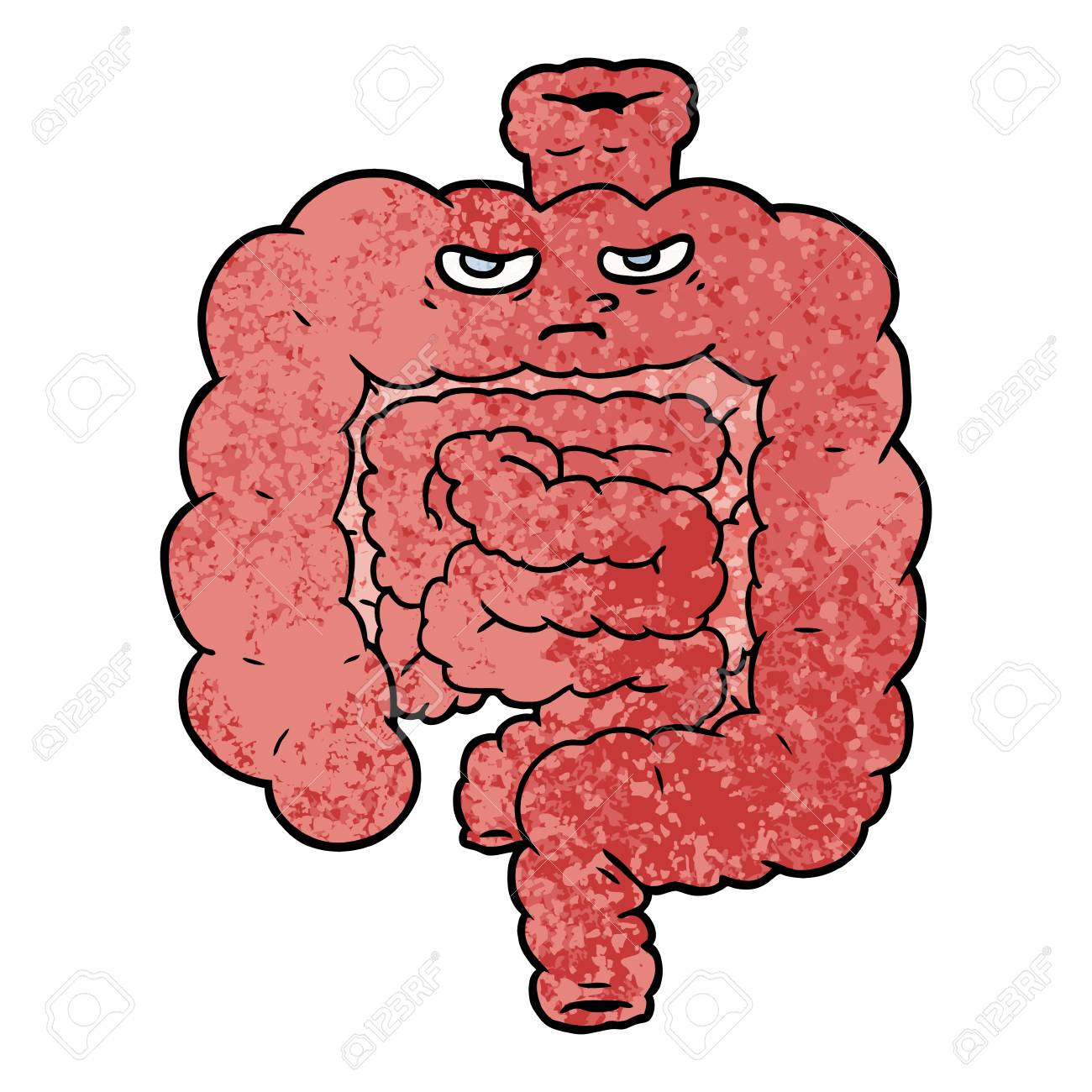 cartoon intestines royalty free cliparts vectors and stock