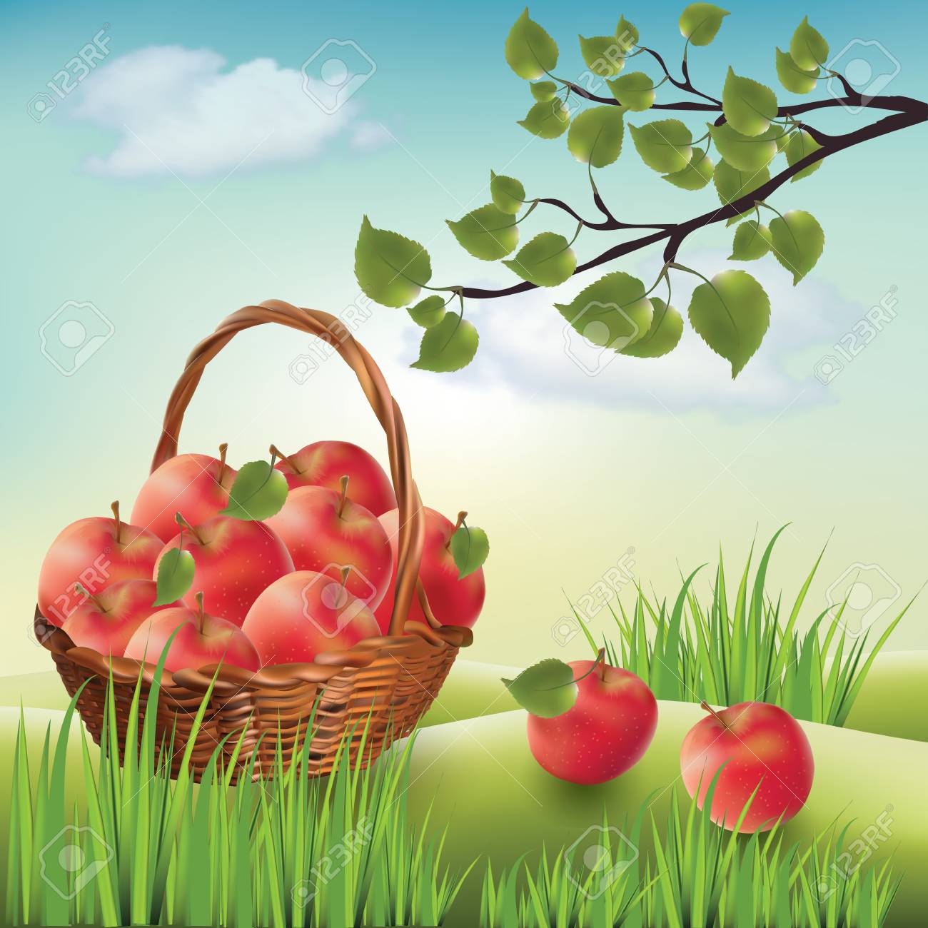 りんごのバスケット 風景の芝生 リンゴの木 のイラスト素材 ベクタ Image