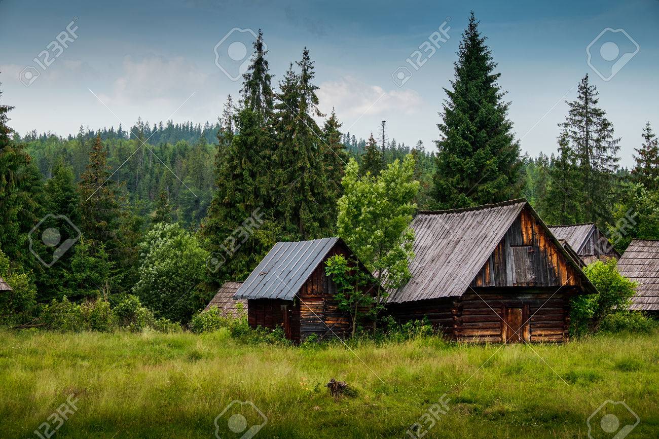 Alte Holzhutte Im Wald Lizenzfreie Fotos Bilder Und Stock Fotografie Image 59771258