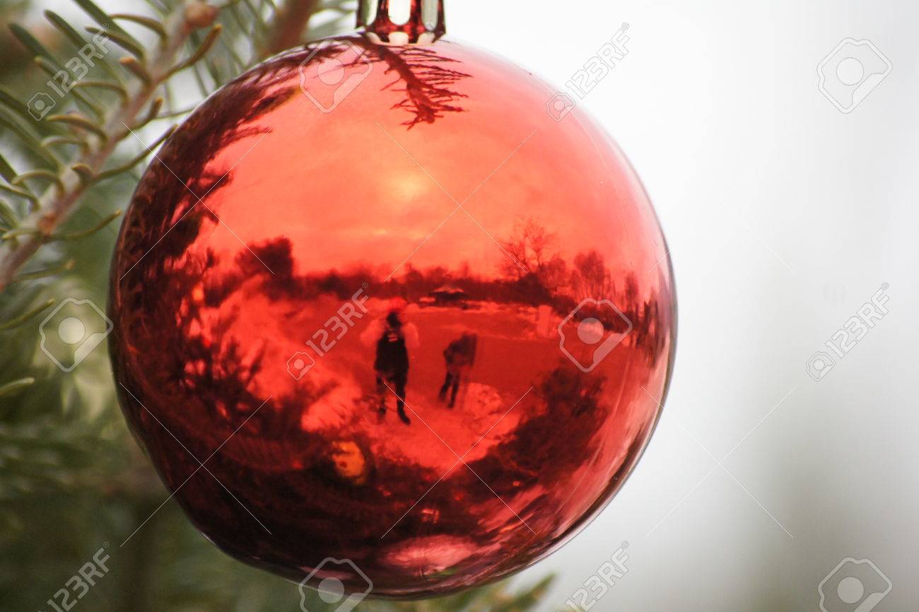red christmas bulb hanging from evergreen with reflection on stock