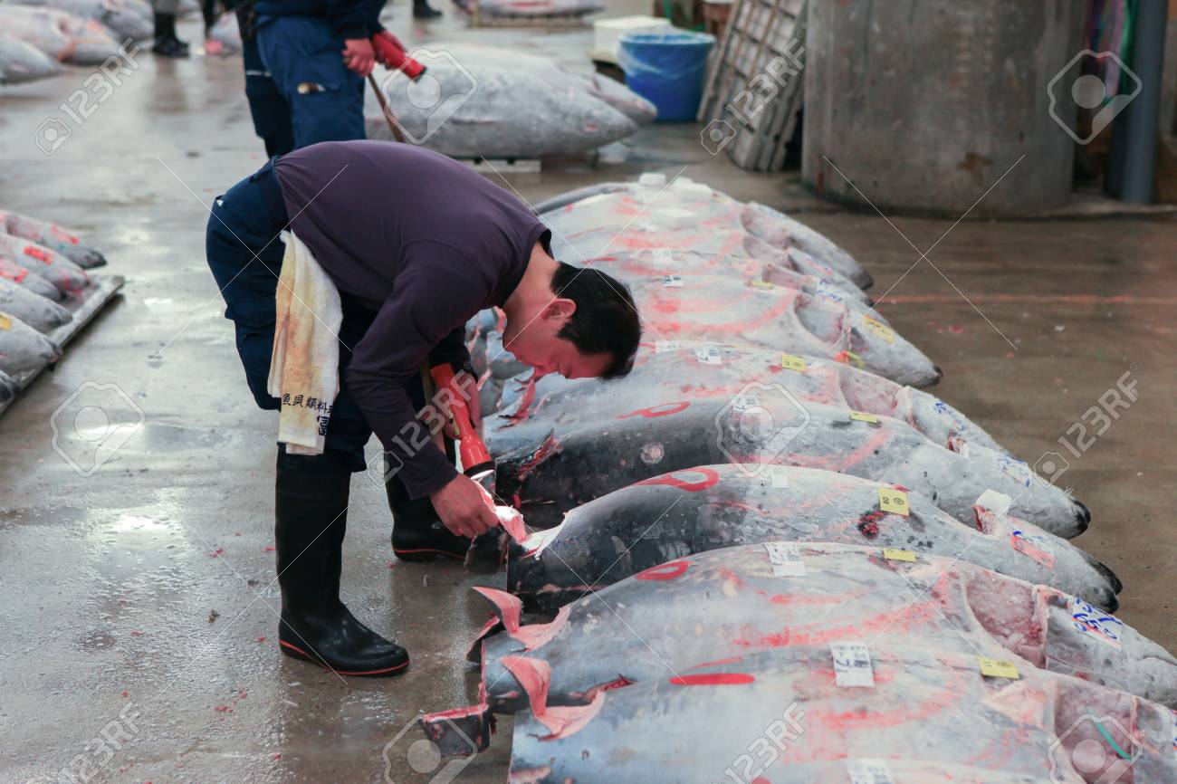 築地市場で有名なマグロのオークション。築地は世界最大の魚市場です