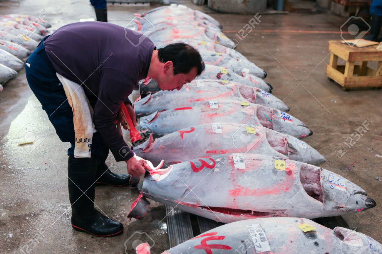 築地市場で有名なマグロのオークション。築地は世界最大の魚市場です