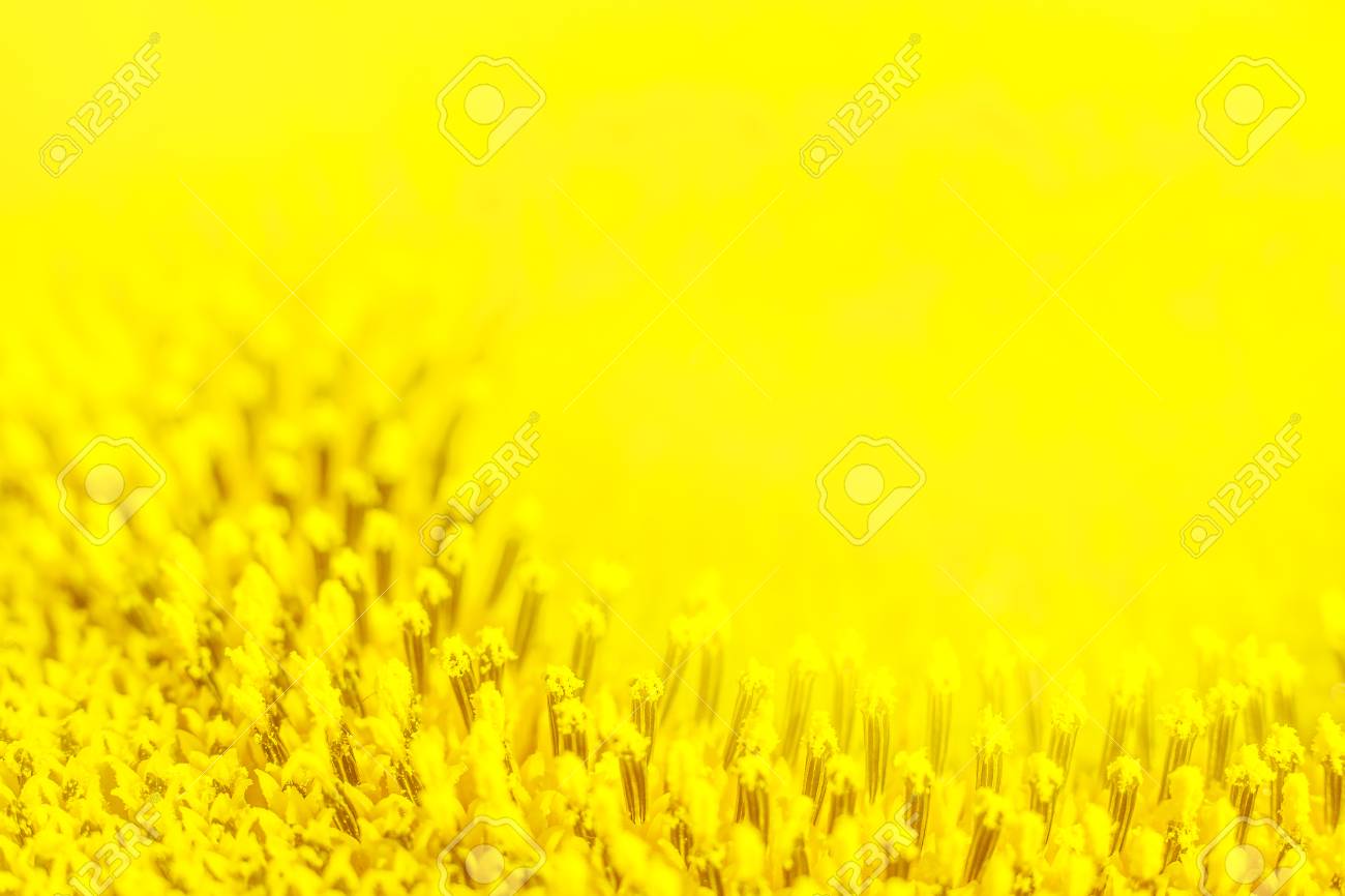 完了しました 黄色い壁紙 Hd壁紙画像 完了しました 黄色い壁紙 Hd壁紙画像