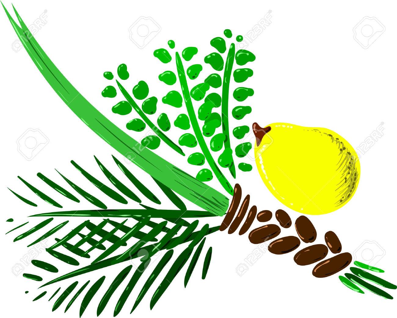 Image result for sukkot