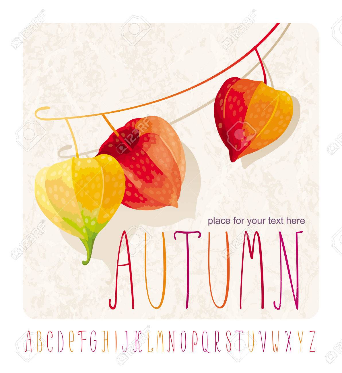 Herbst Komposition Mit Lampionblumen Ein Anderer Name Physalis Oder Physalis Fur Veranstaltungen Und Vertrieb Auf Grunge Hintergrund Und Alphabet Lizenzfrei Nutzbare Vektorgrafiken Clip Arts Illustrationen Image 44251898