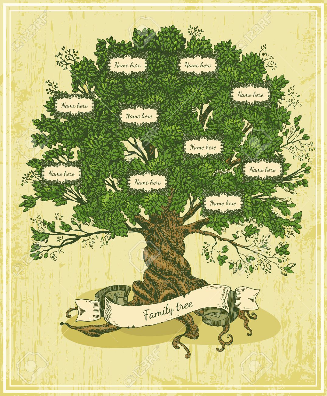 rbol genealógico en el