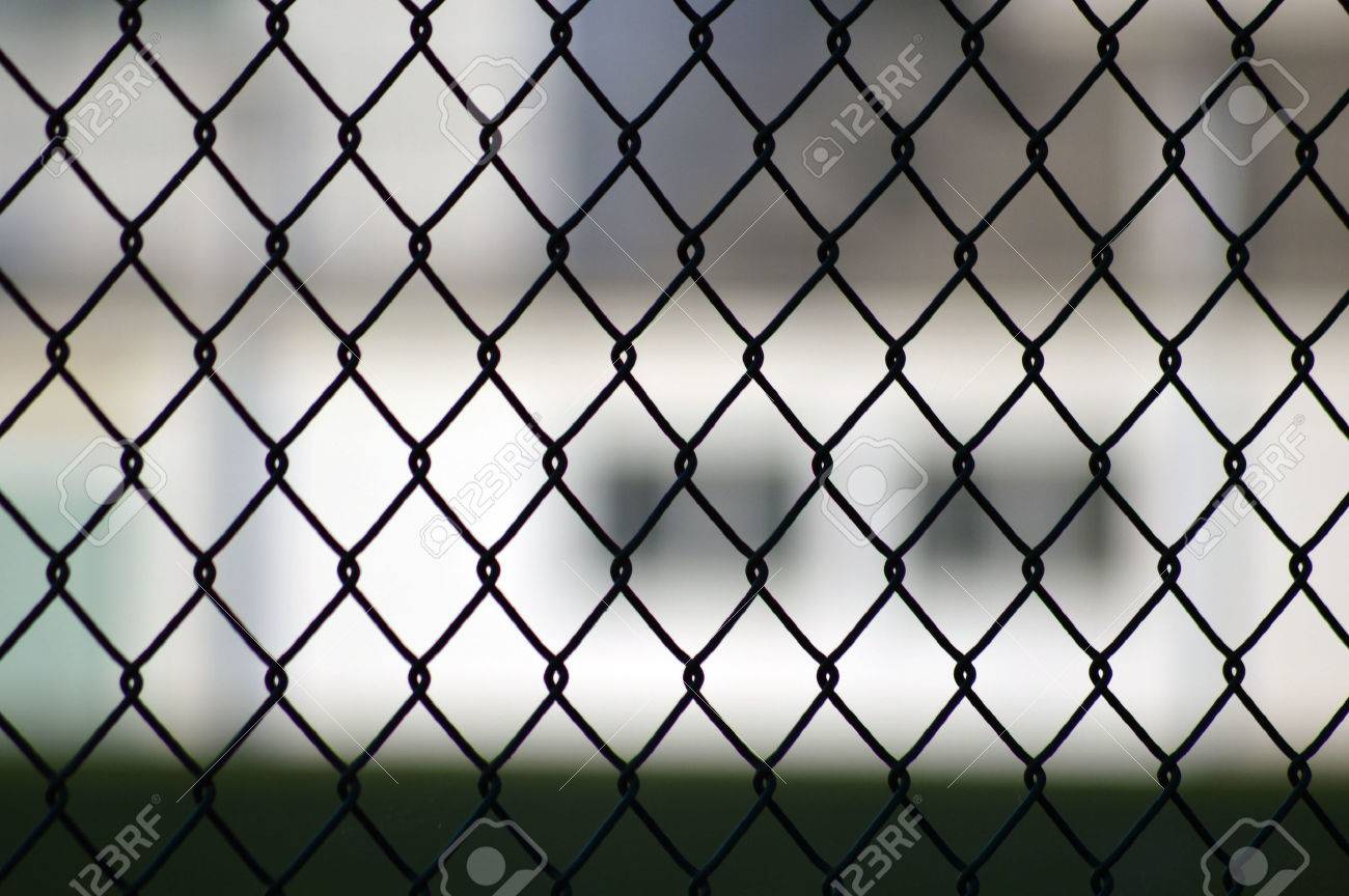 metal grid fence over blurred stock photo picture and royalty free