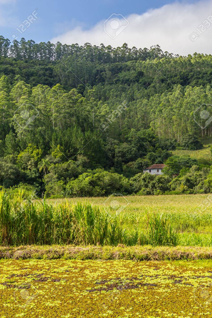 Muçum Rio Grande do Sul fonte: previews.123rf.com