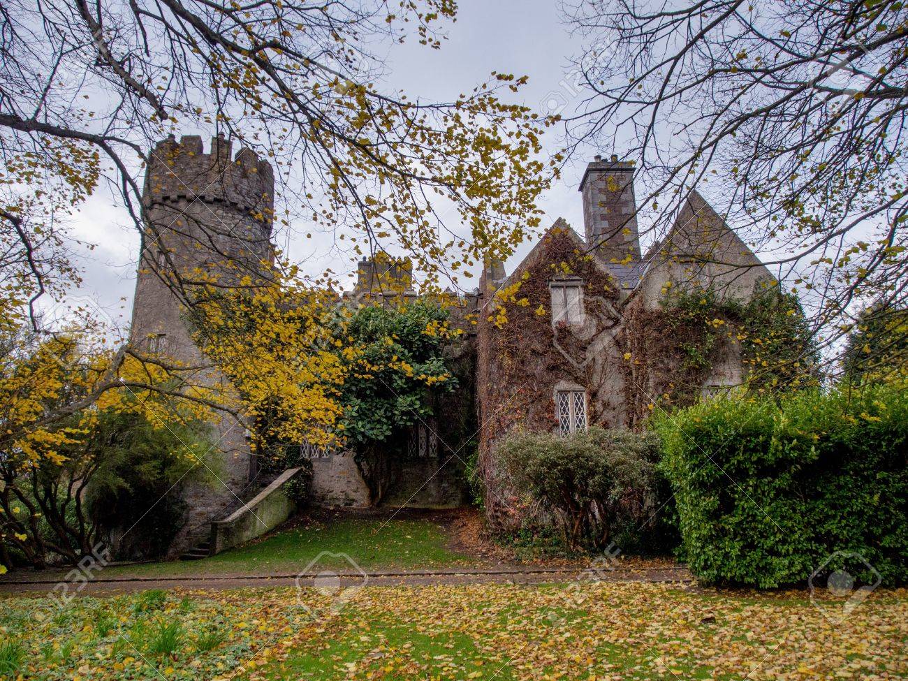 etiam-dictum-ipsum-a-felis