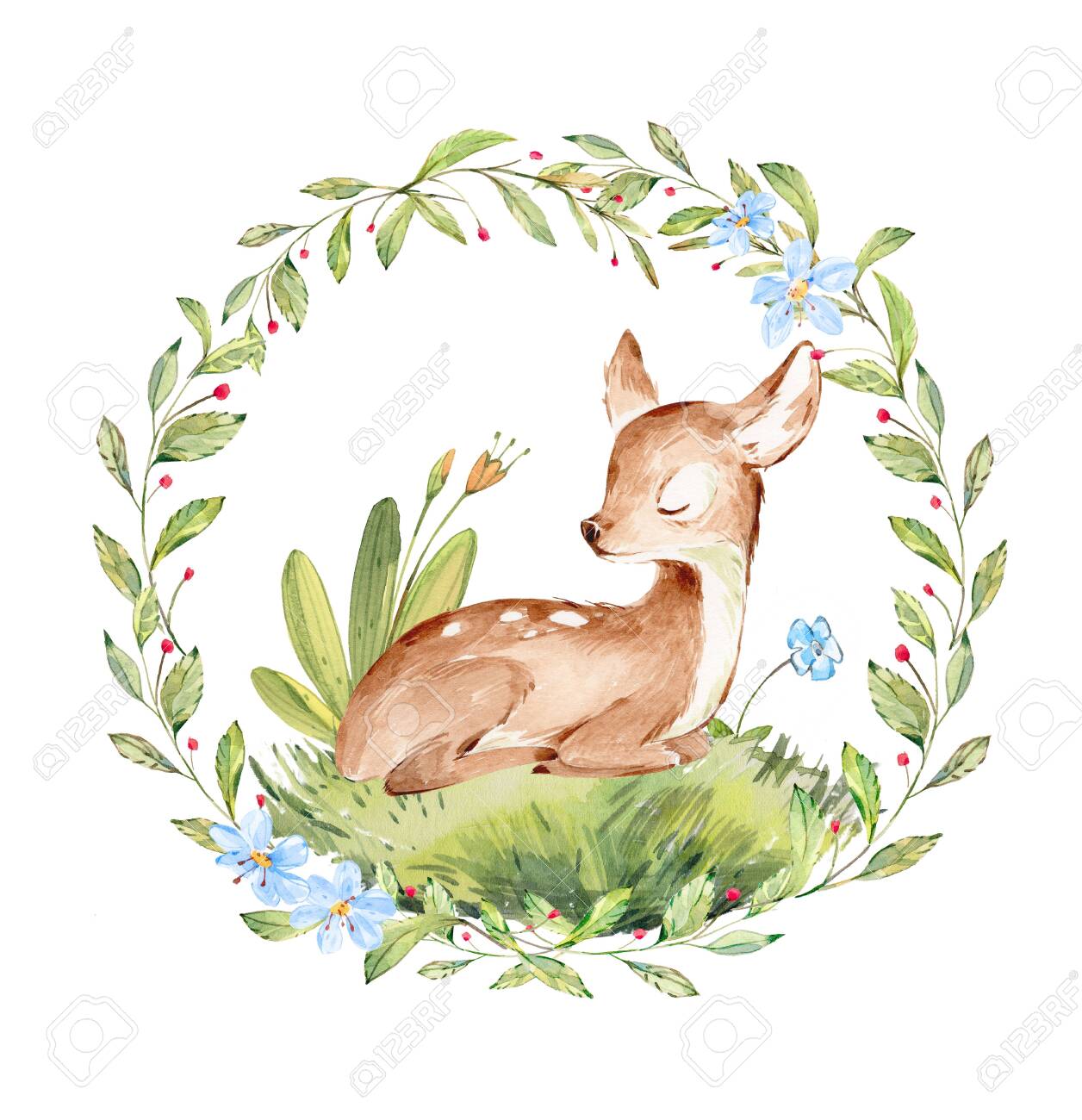 Cute Watercolor Baby Deer Surrounded By Wild Forest Plants Wreath. Full  Profile Baby Deer Over White. Isolated. Nursery Print Of Forest Animals For  Baby Girl Or Boy. Stock Photo, Picture And Royalty