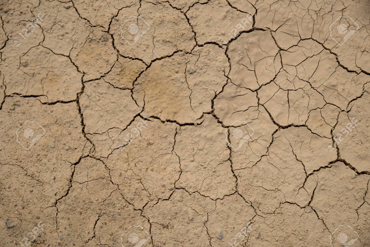 Dried Cracked Earth Soil Ground Texture Background Mosaic Pattern Stock Photo Picture And Royalty Free Image Image