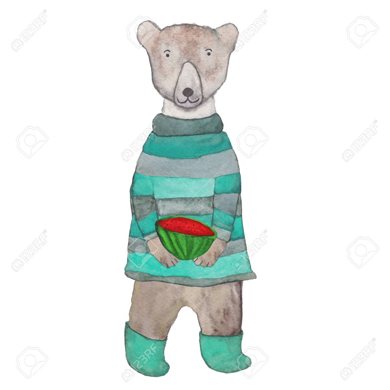 白い極のテディベアとスイカの服 農家のクマのイラストです ニットのセーターの水彩の文字 の写真素材 画像素材 Image