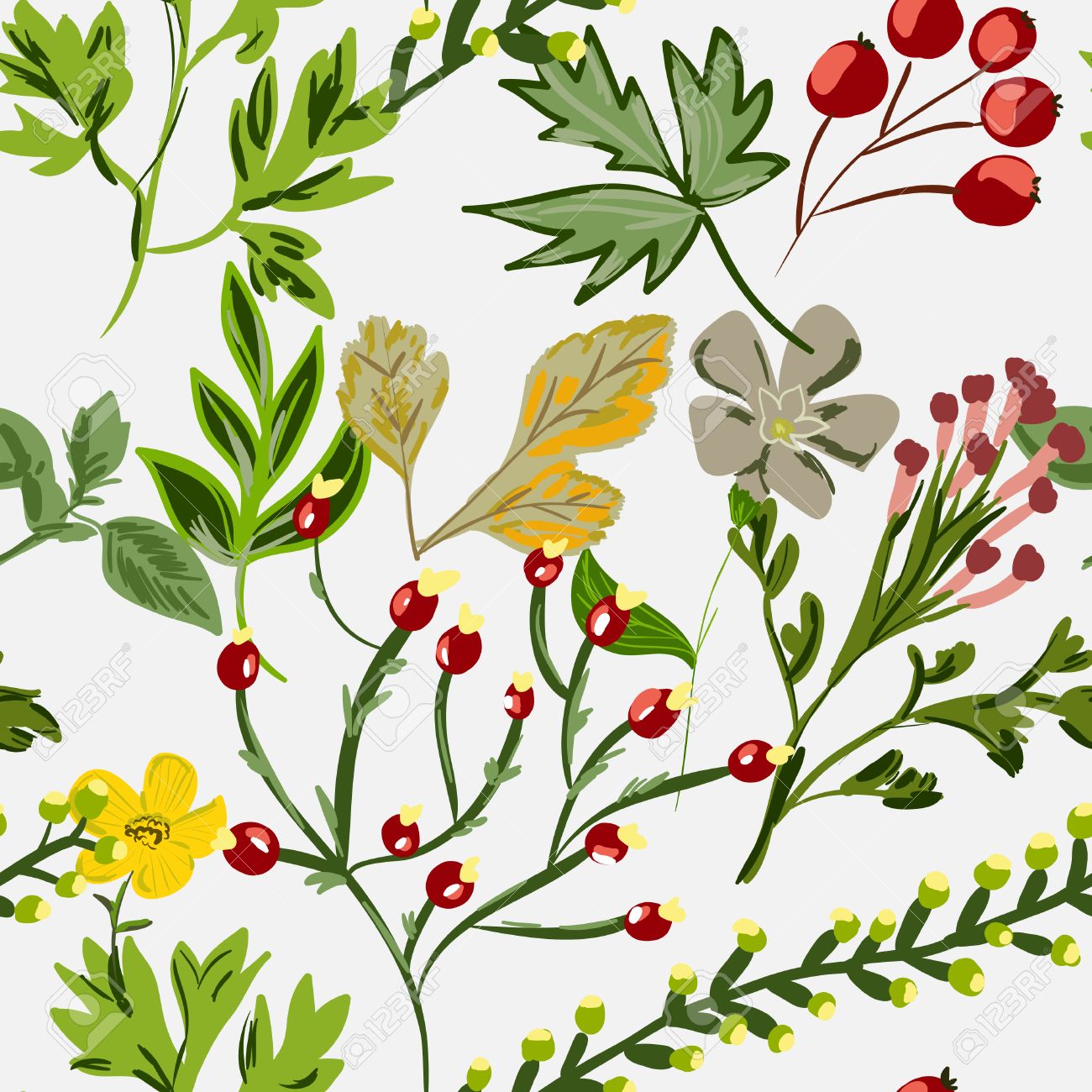 Avoir Images Seamless Texture Avec Des Plantes Motif Herbier Sans Fin Motif le plus cool par