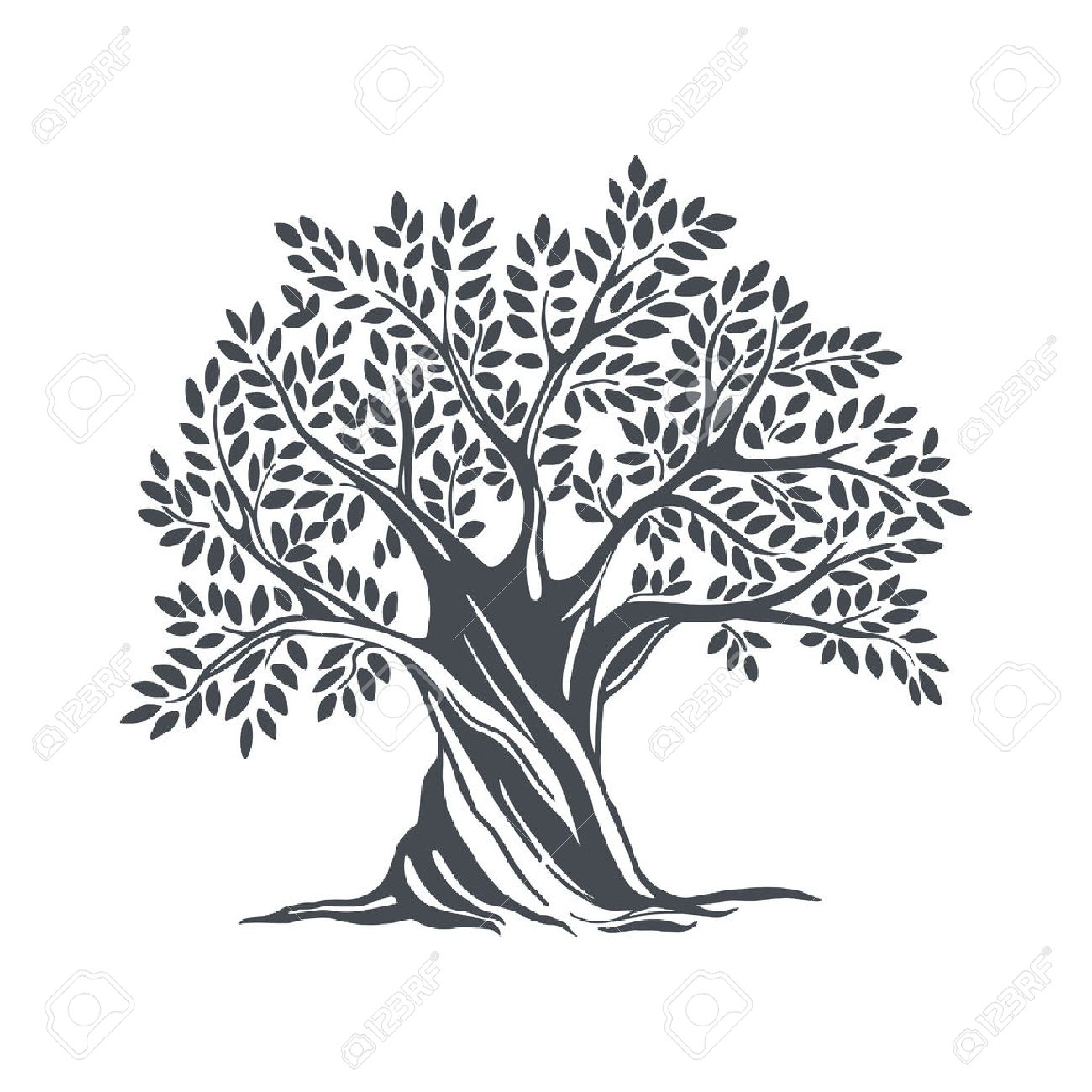 hand drawn olive tree vector sketch illustration tree vector free