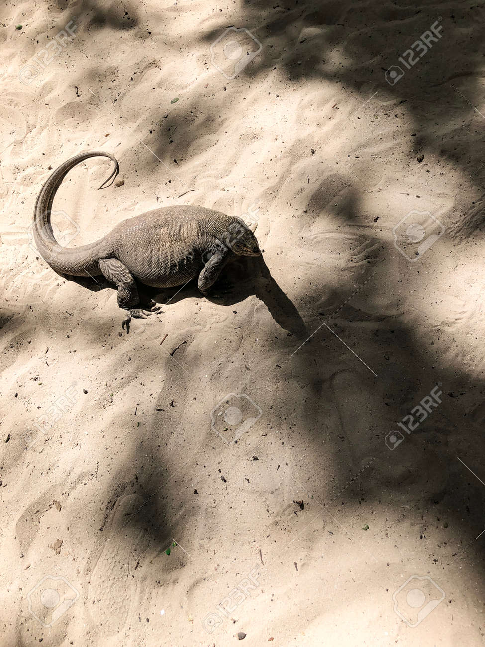 etiam-dictum-ipsum-a-felis