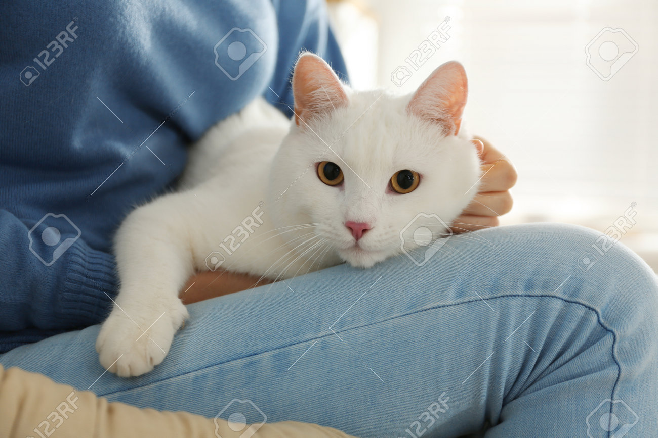 etiam-dictum-ipsum-a-felis