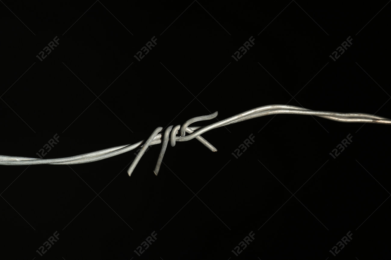 etiam-dictum-ipsum-a-felis