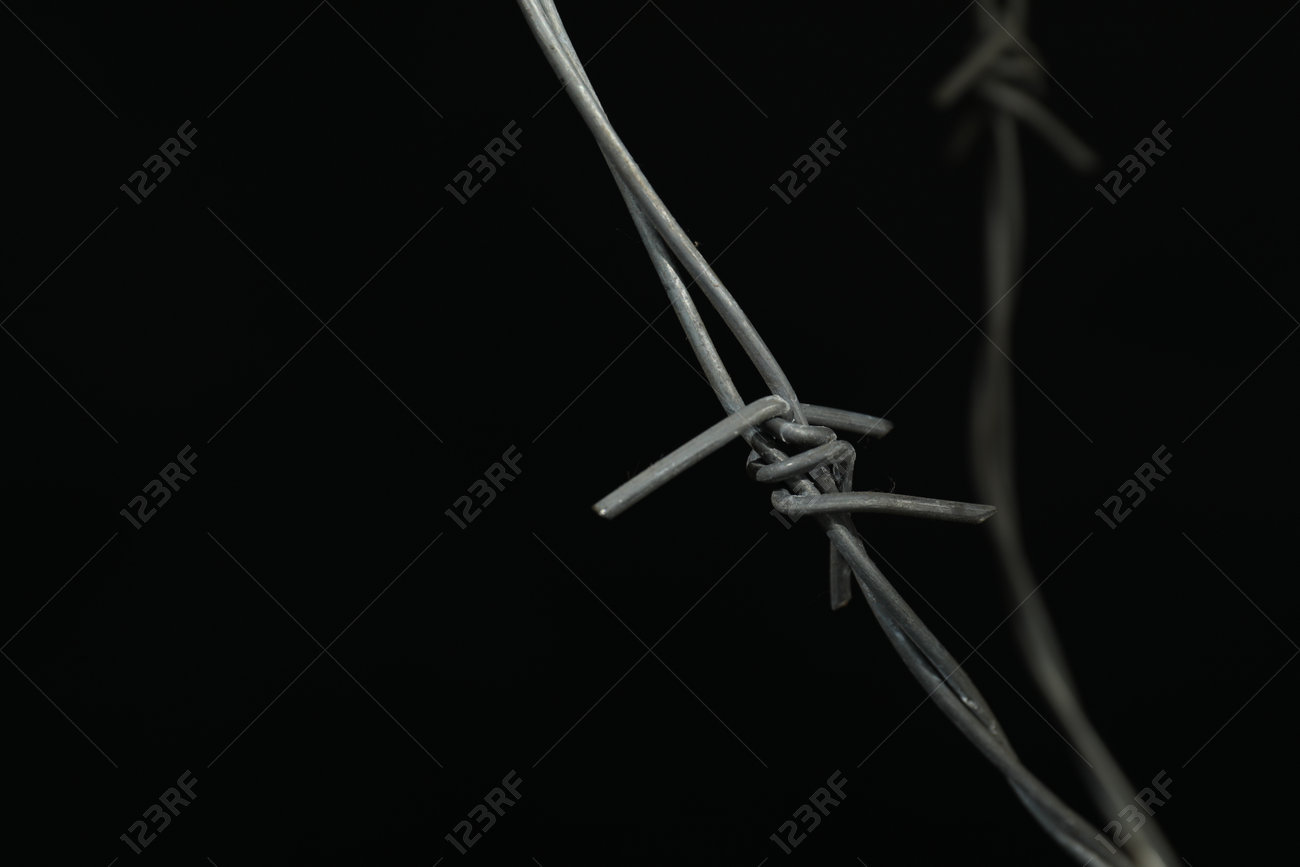 etiam-dictum-ipsum-a-felis