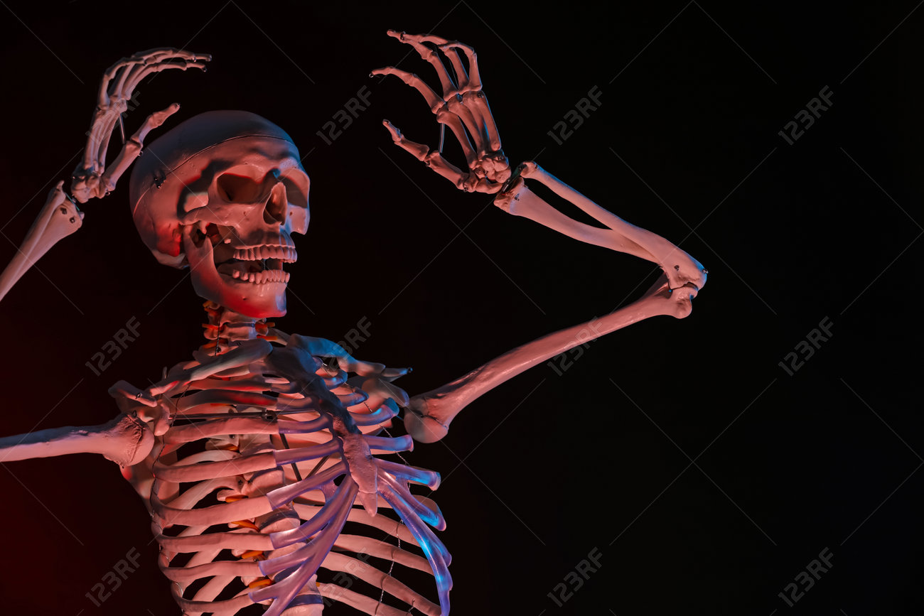 etiam-dictum-ipsum-a-felis